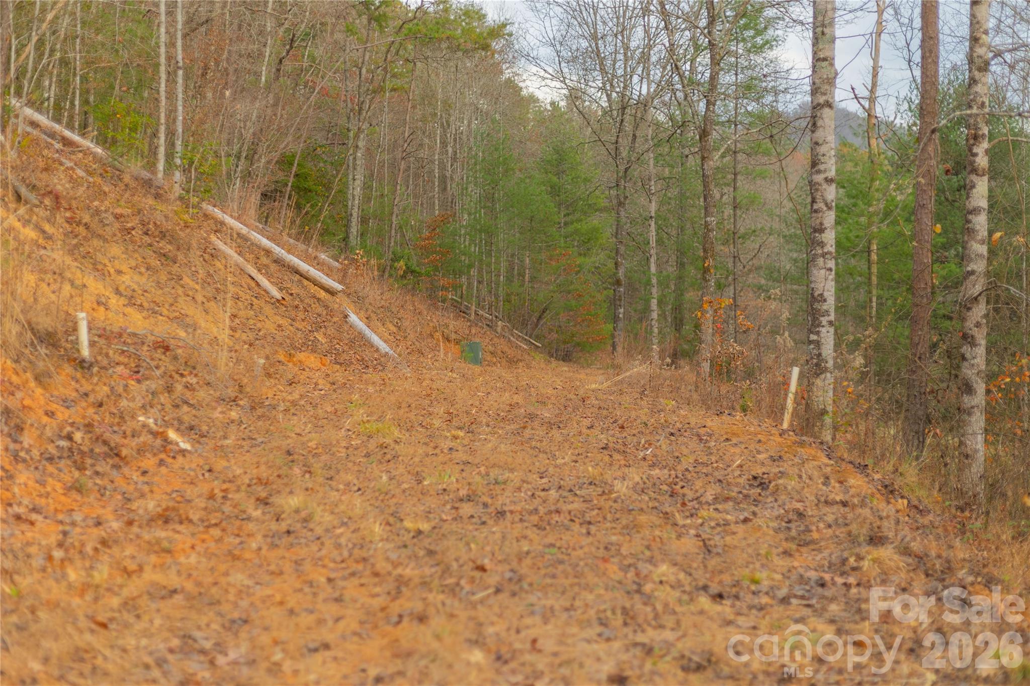 main property photo 41