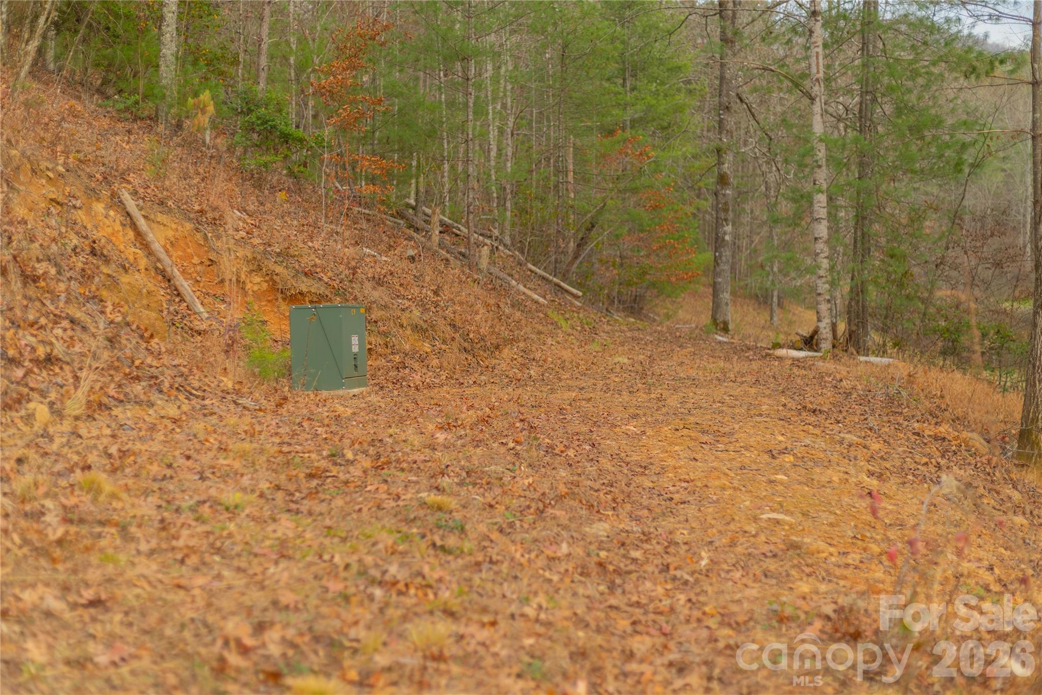 main property photo 42
