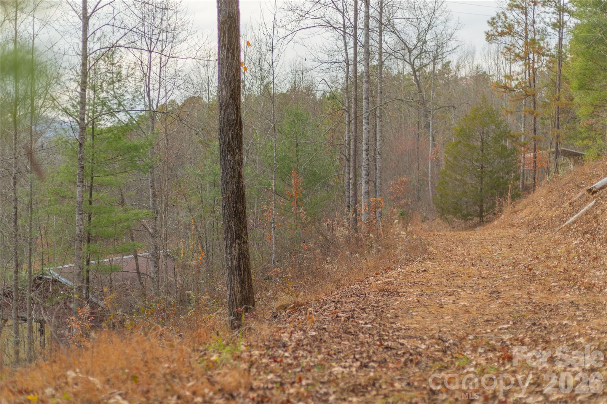 main property photo 43