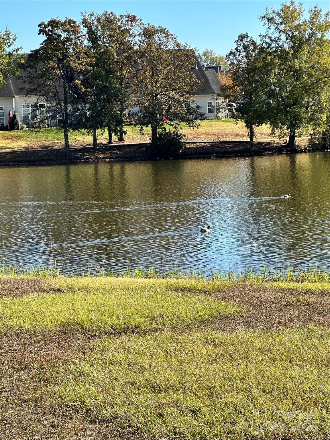 property viewer photo 30
