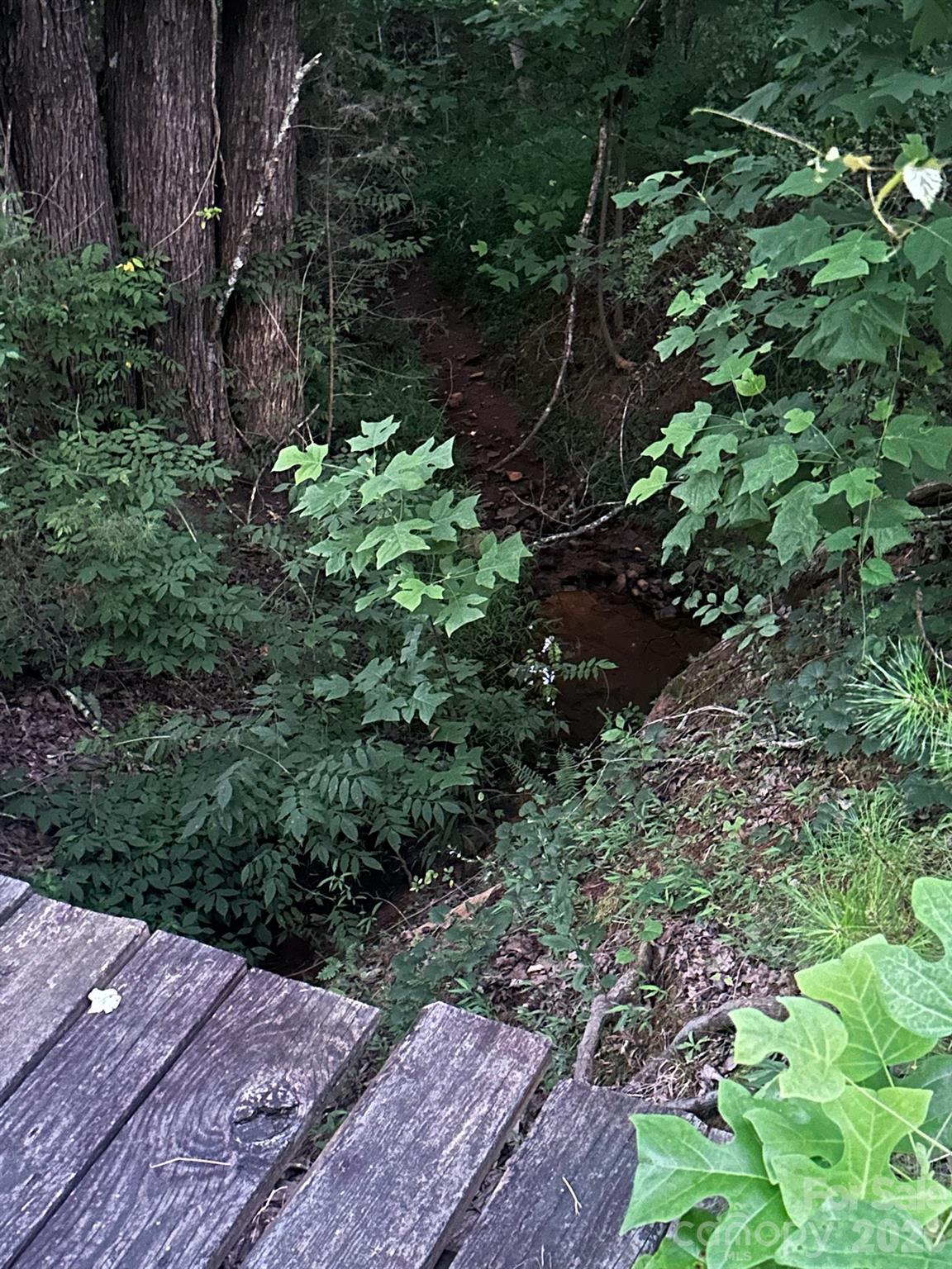 main property photo 32