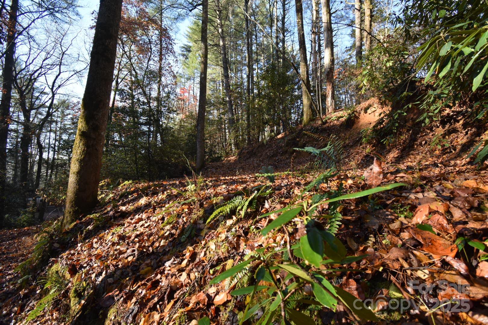 main property photo 32