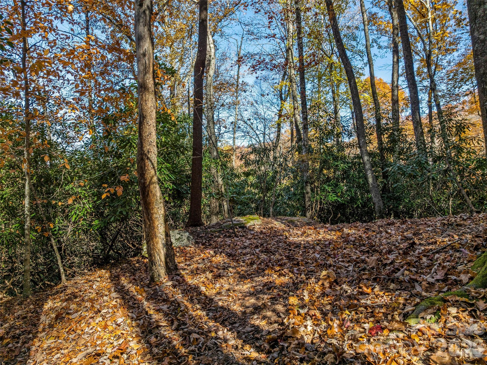 main property photo 10