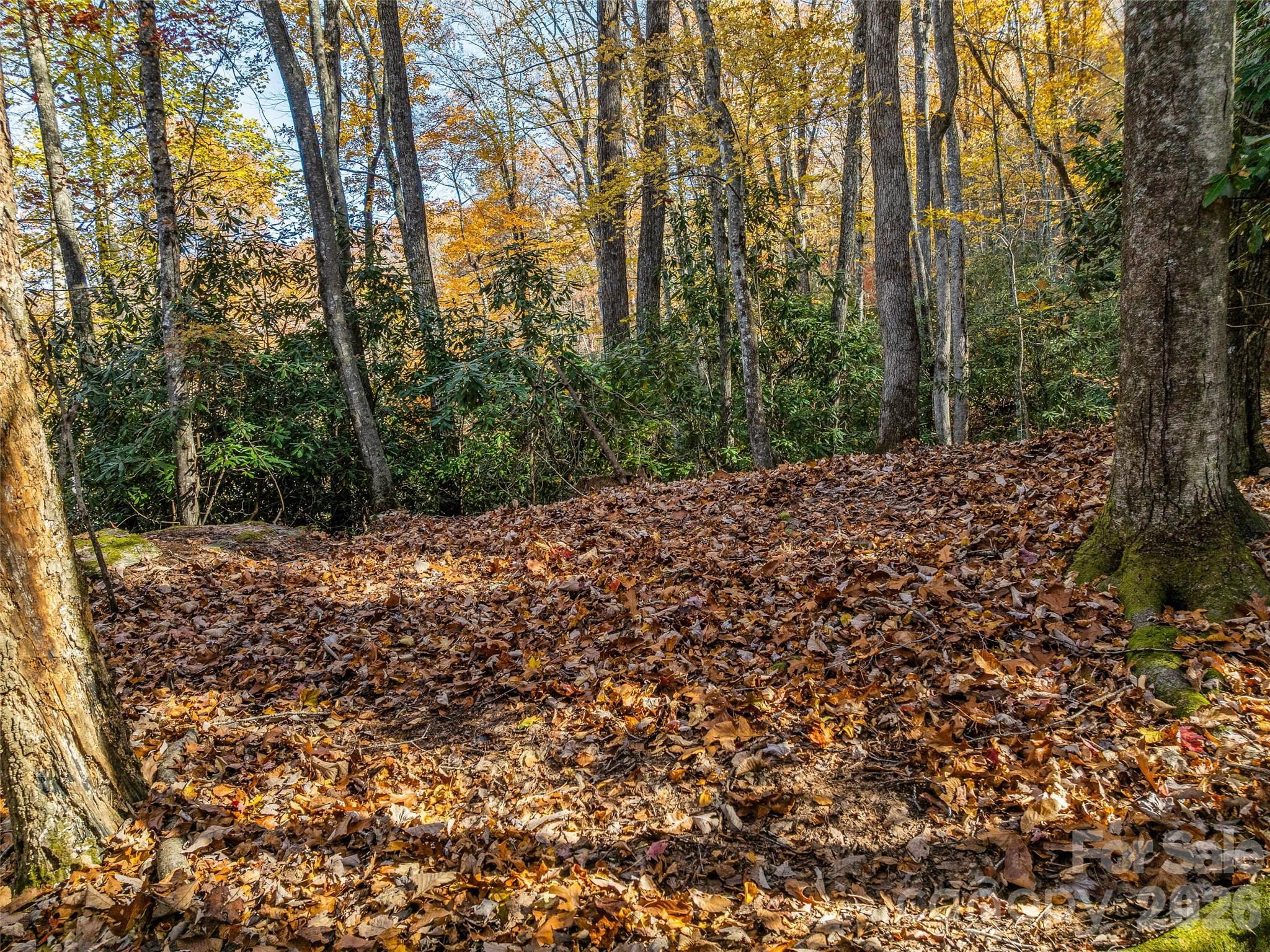 main property photo 11
