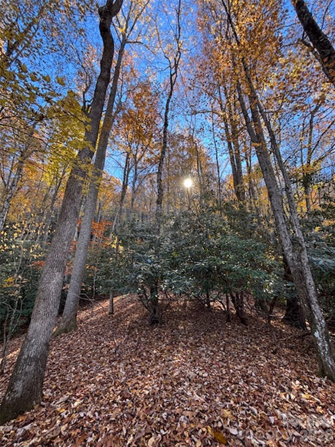 main property photo 24