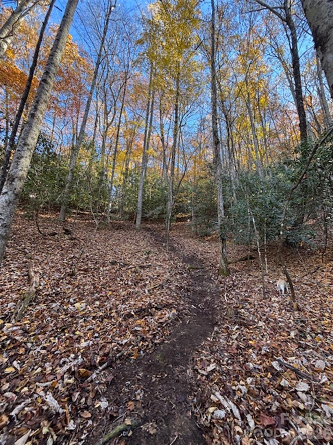 main property photo 25