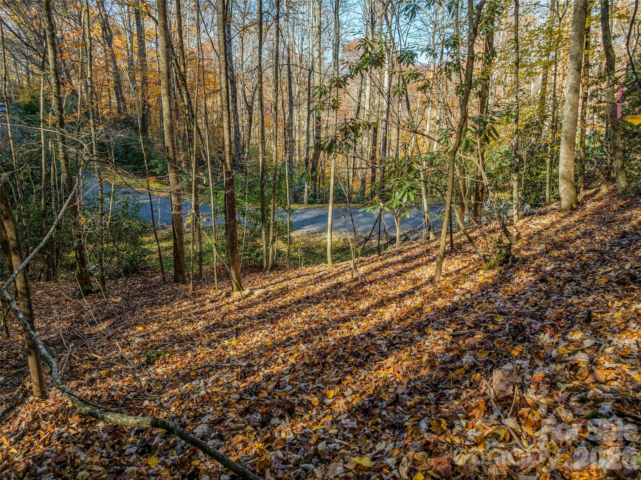main property photo 8