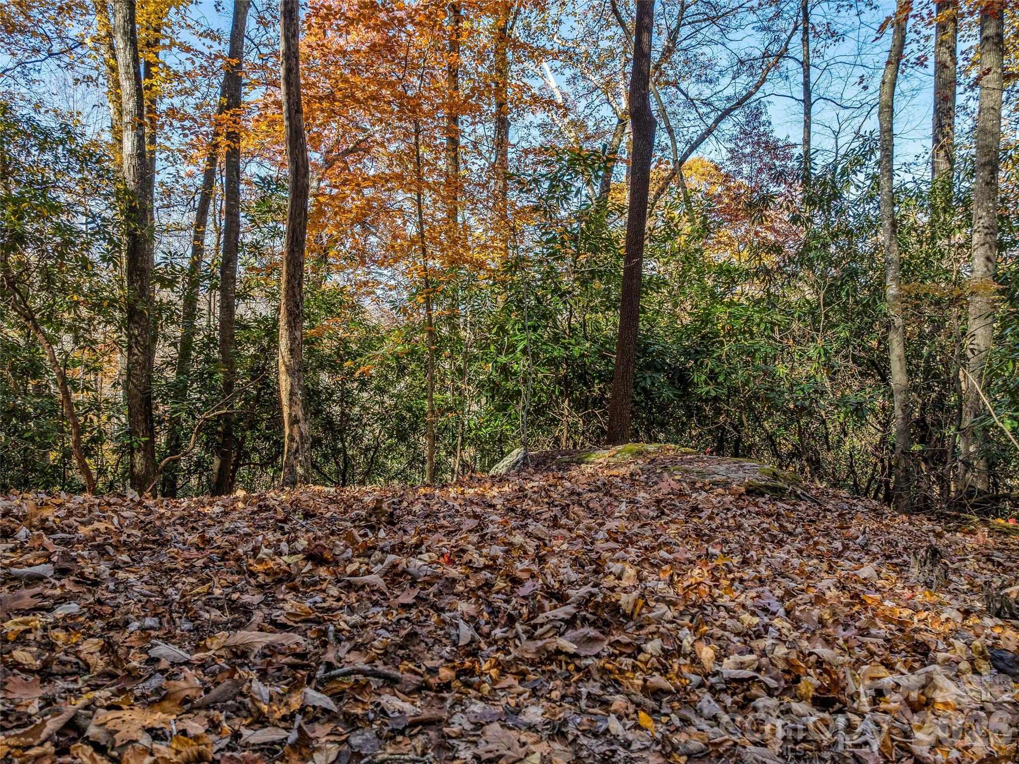 main property photo 9