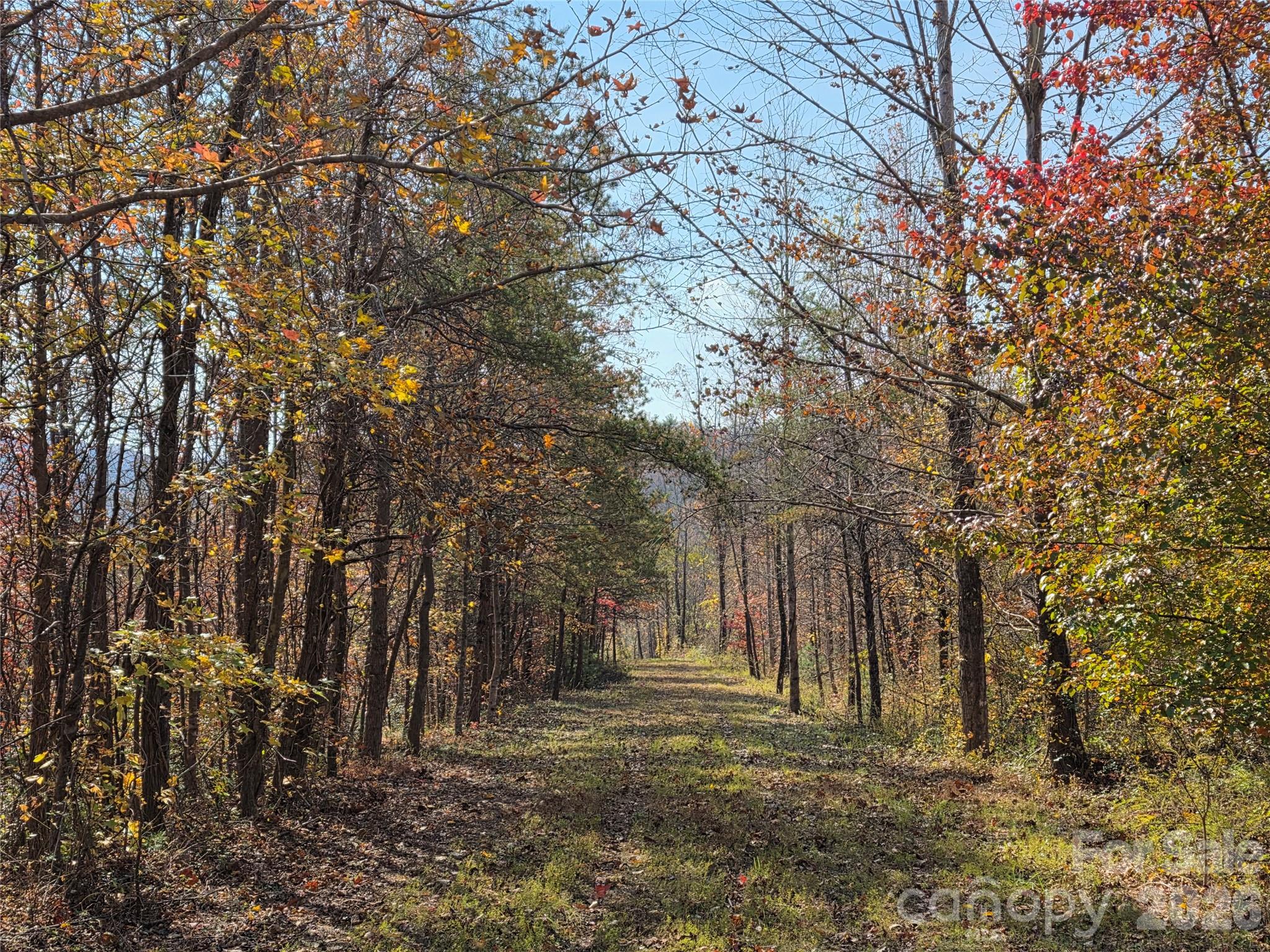 main property photo 10