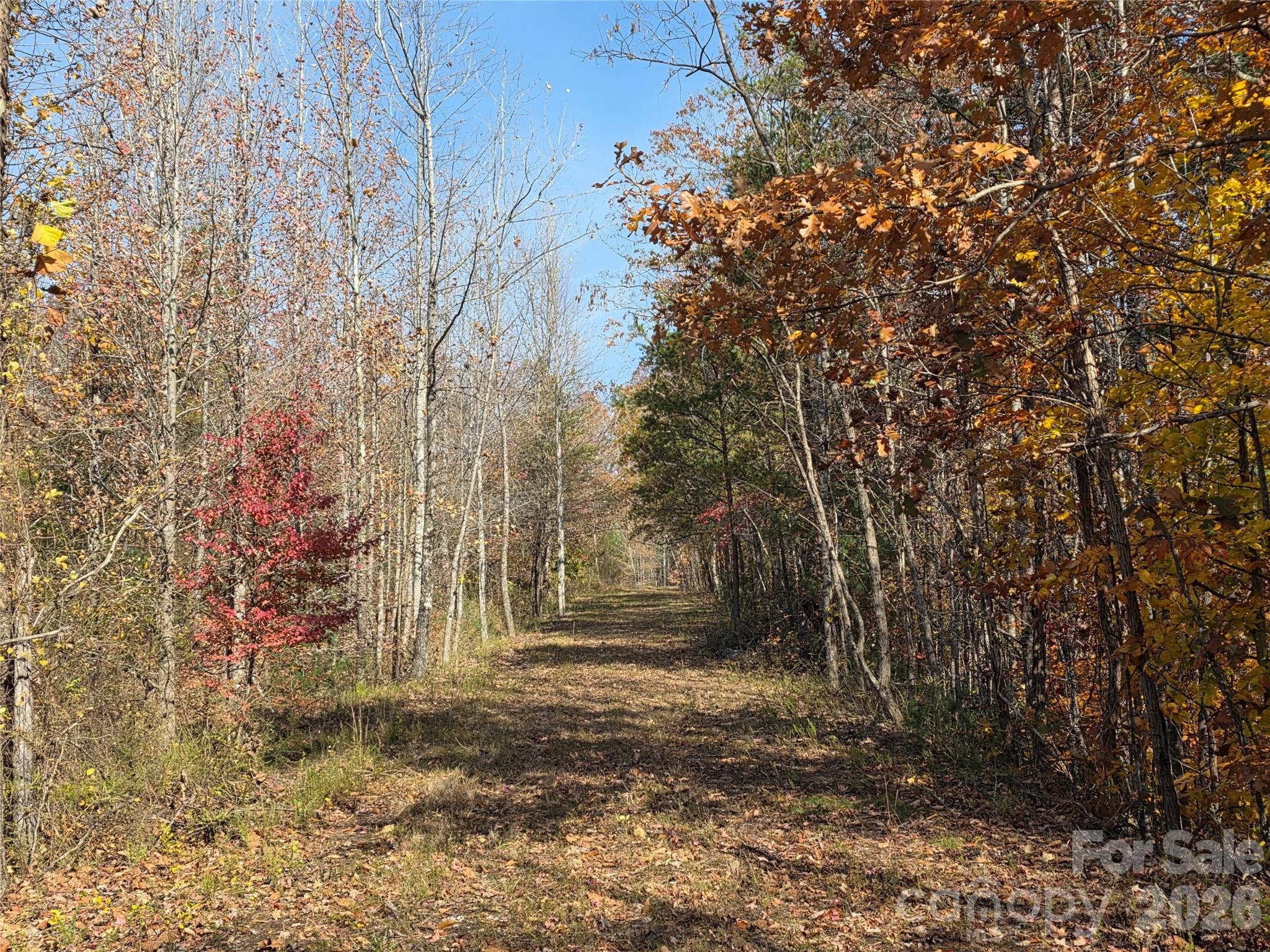 main property photo 11