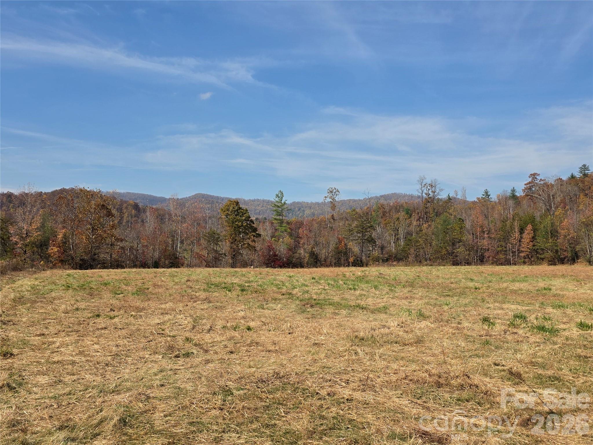 main property photo 13