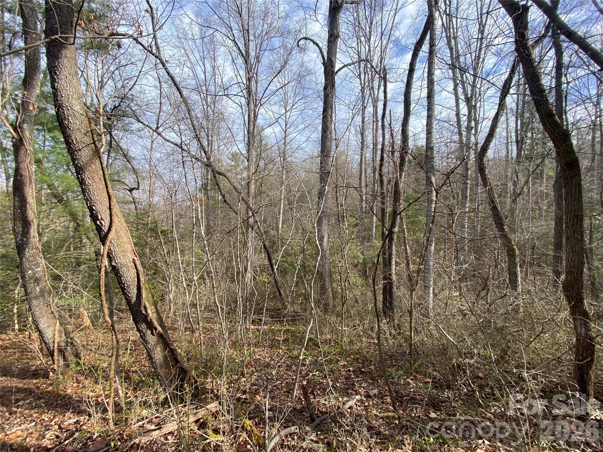 main property photo 12
