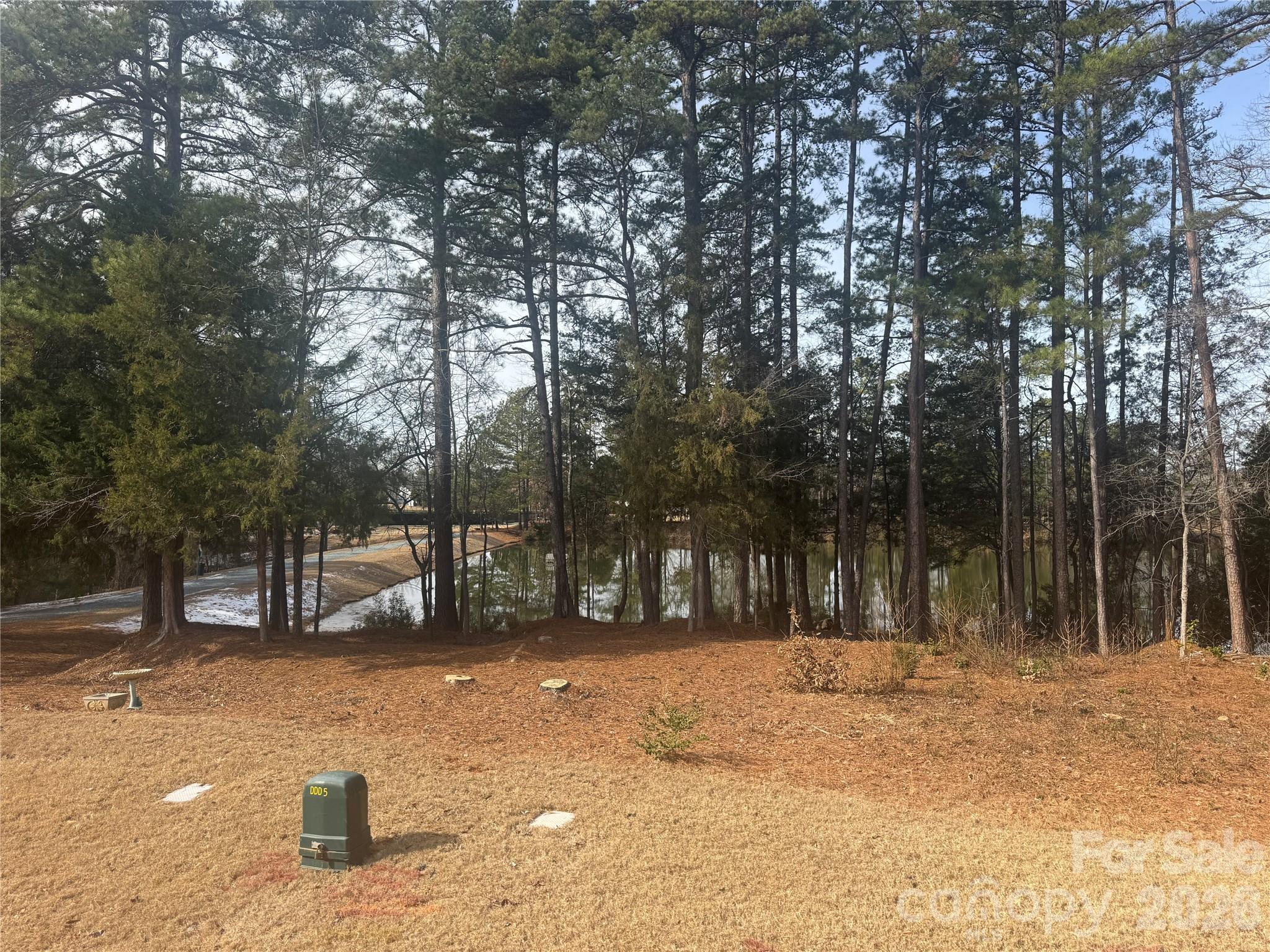 main property photo 34