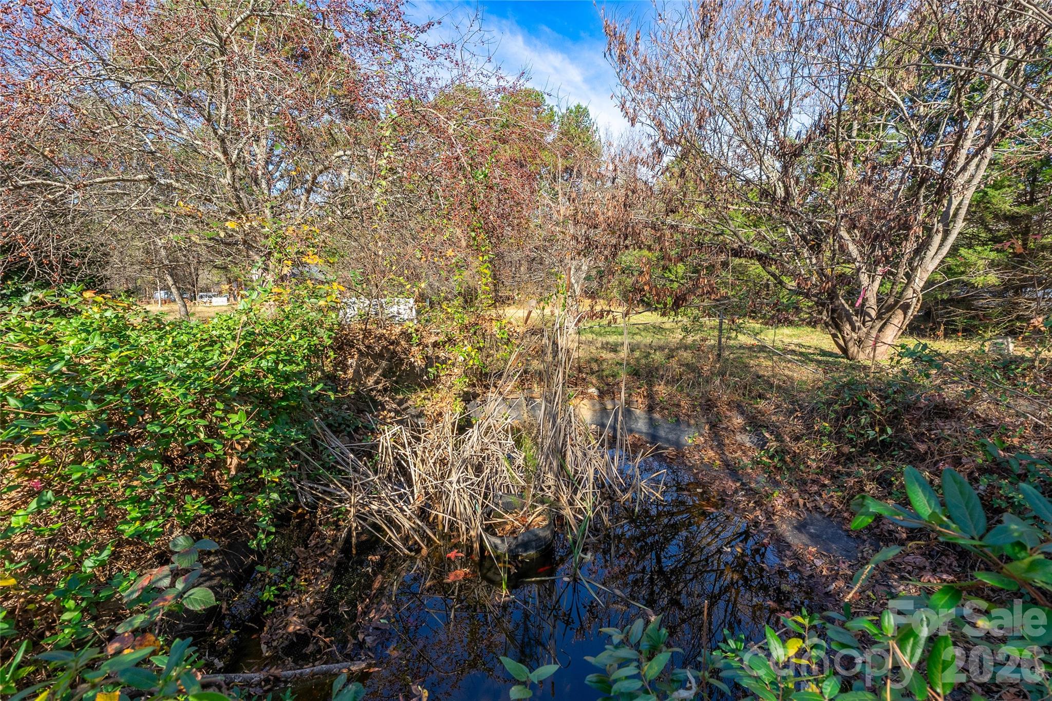 main property photo 34