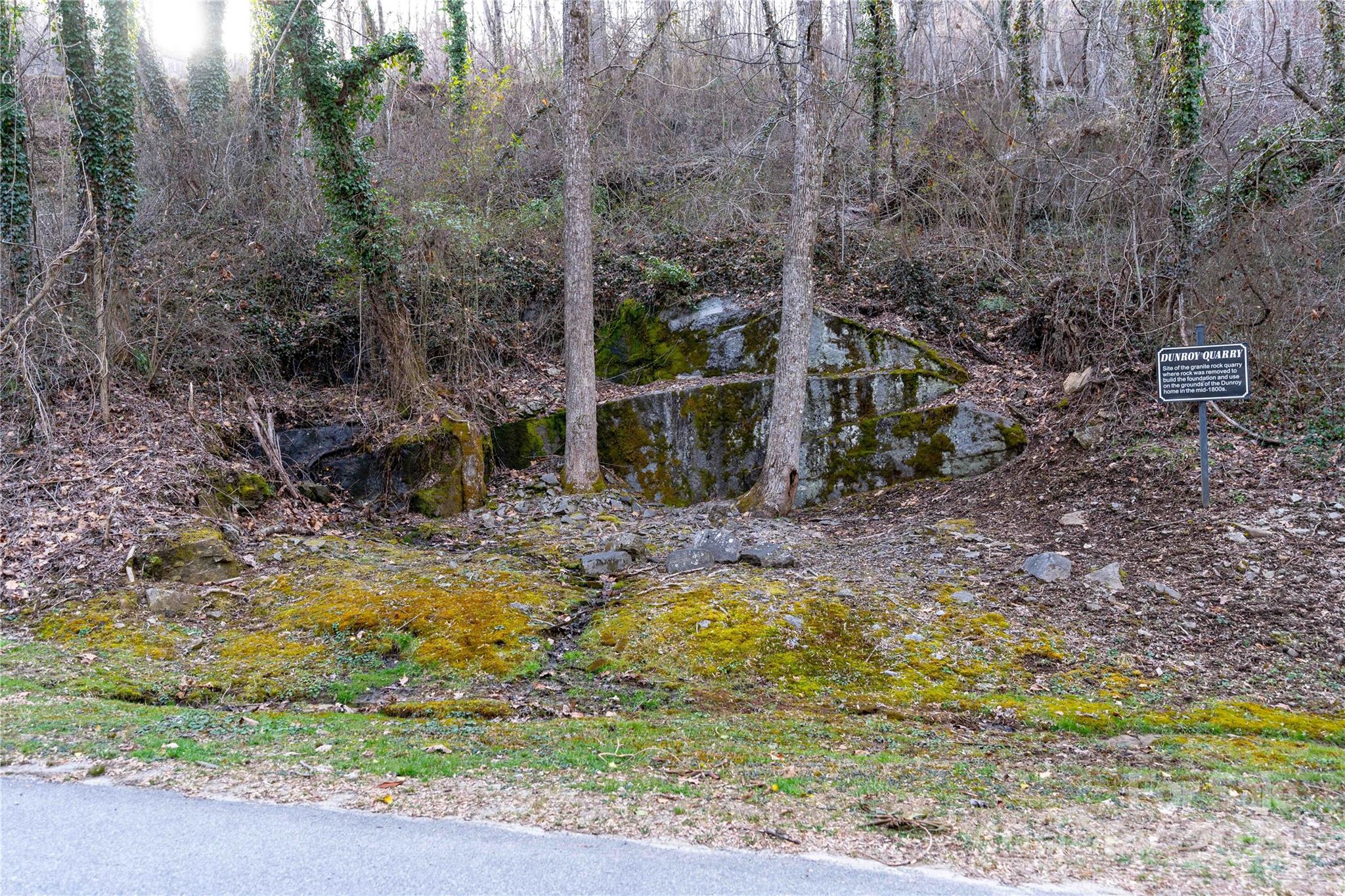 main property photo 37