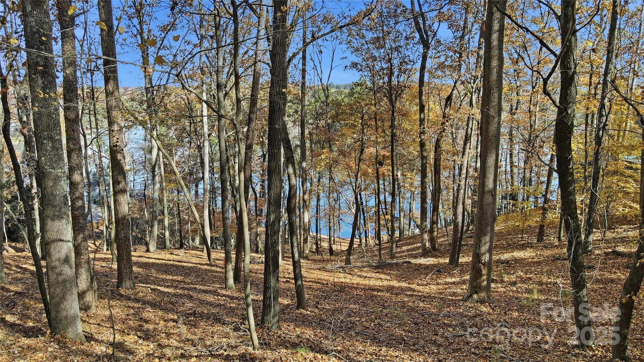 property viewer photo 4