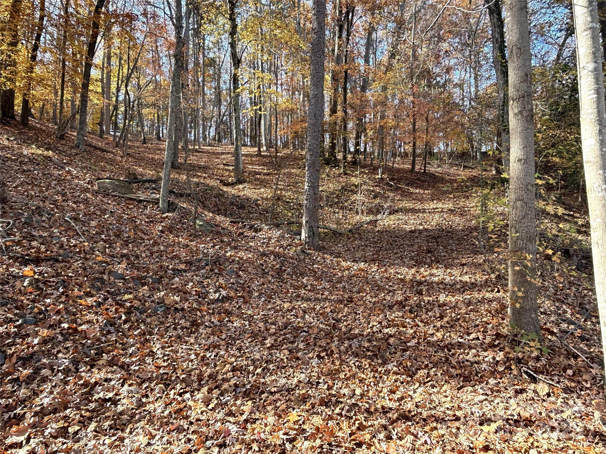 property viewer photo 9