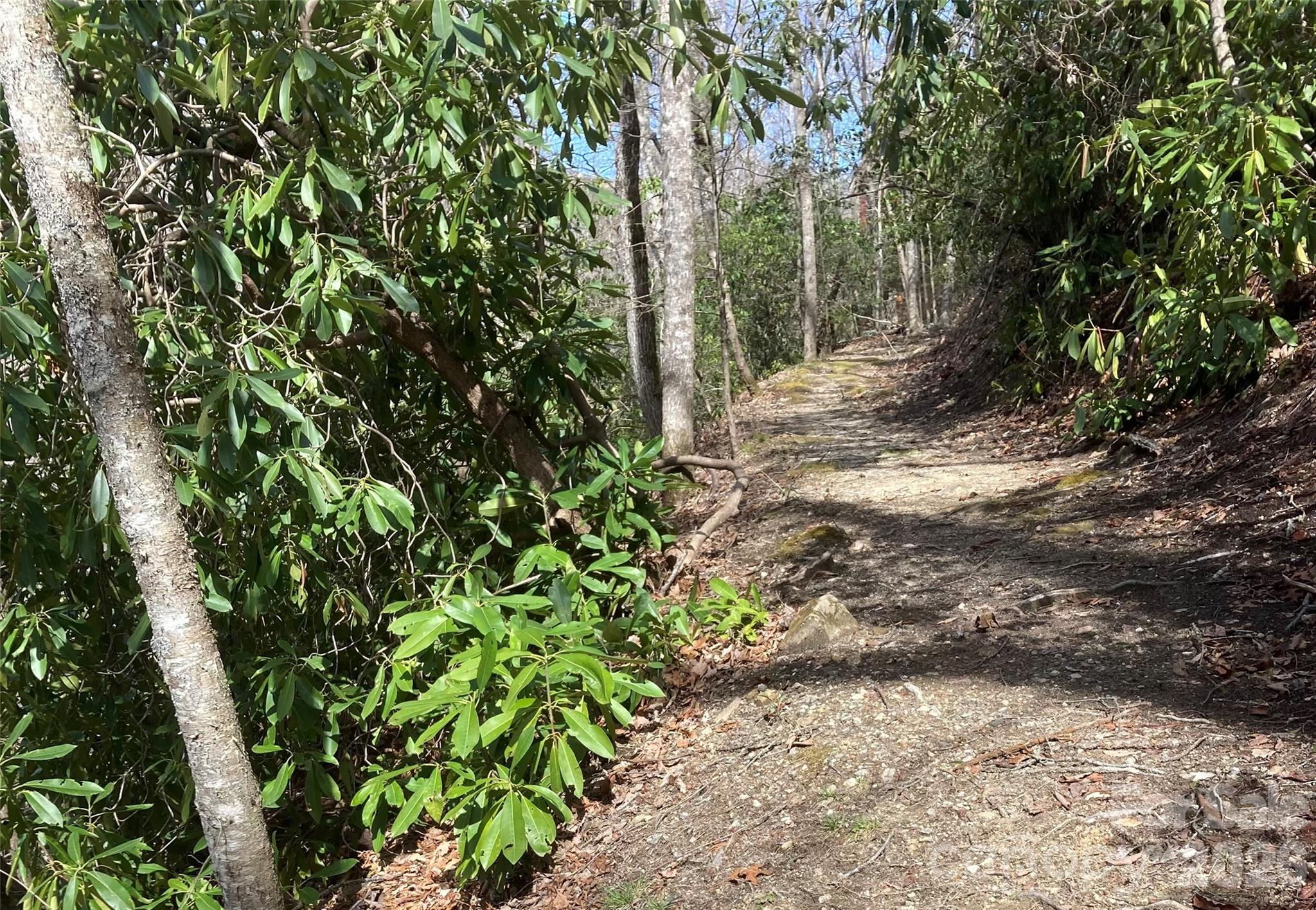 main property photo 40