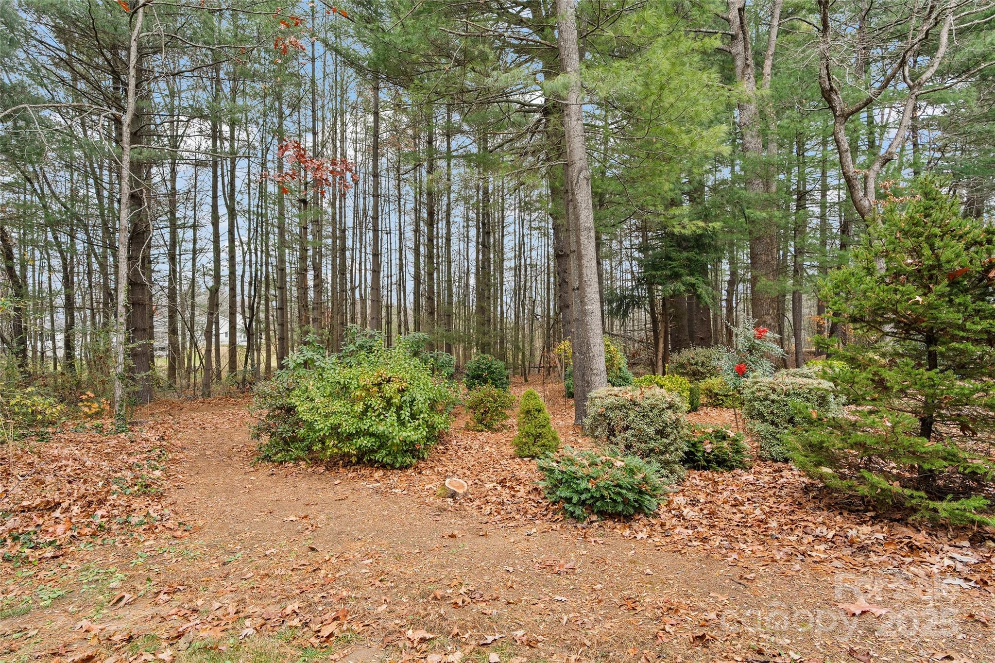 property viewer photo 17