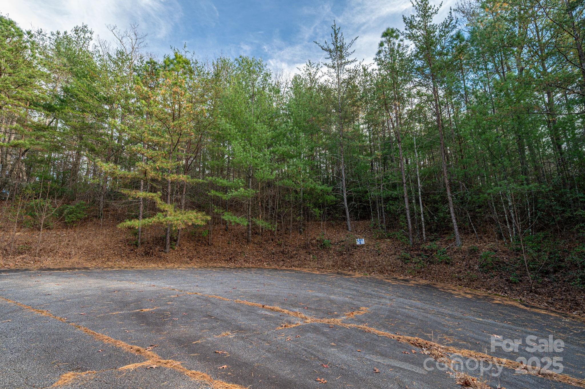 main property photo 8