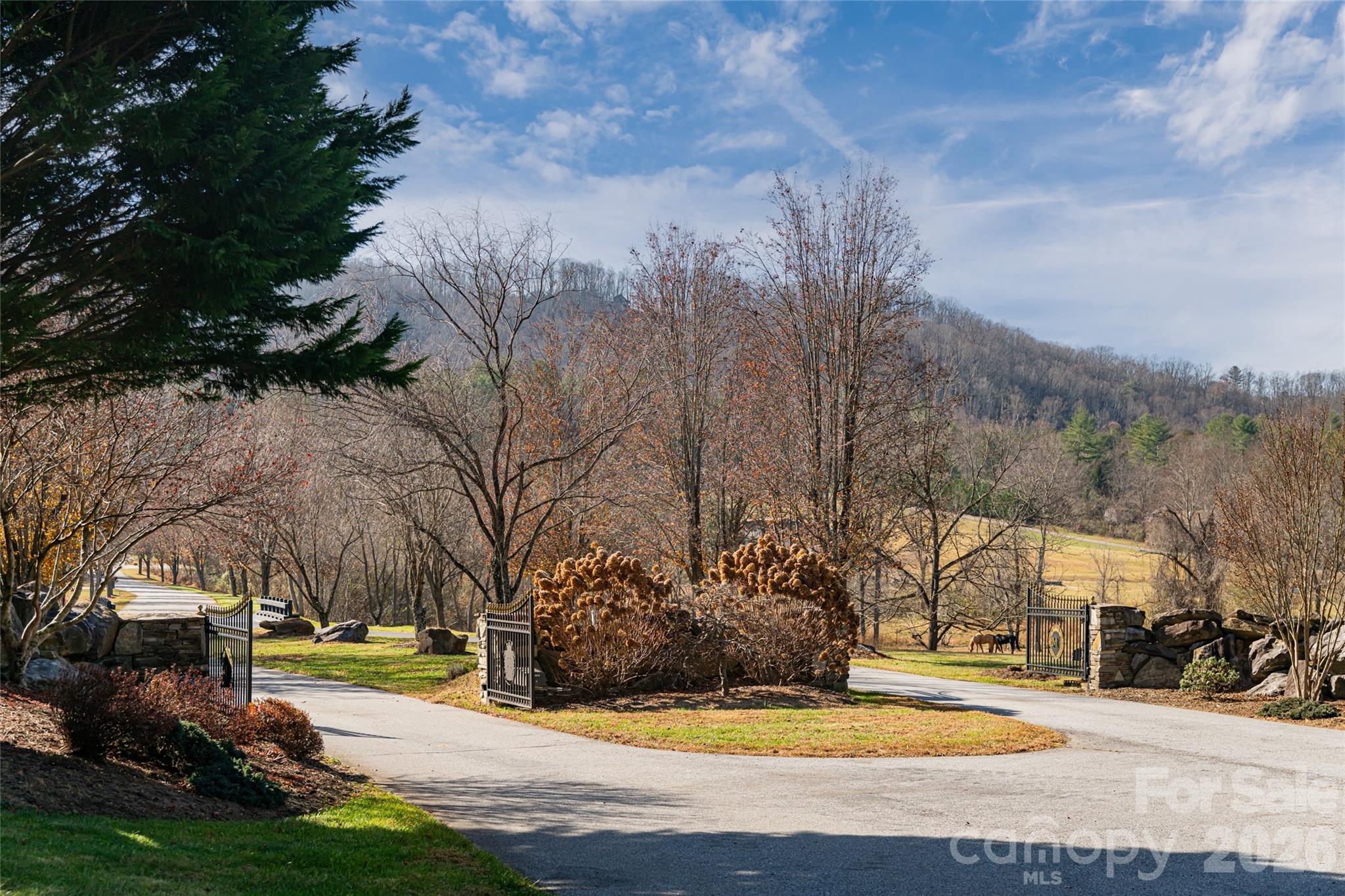 main property photo 33