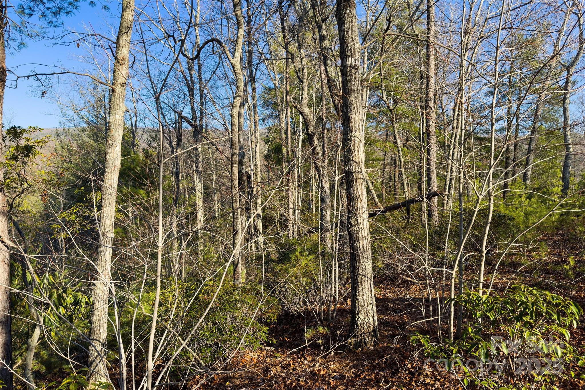 main property photo 18