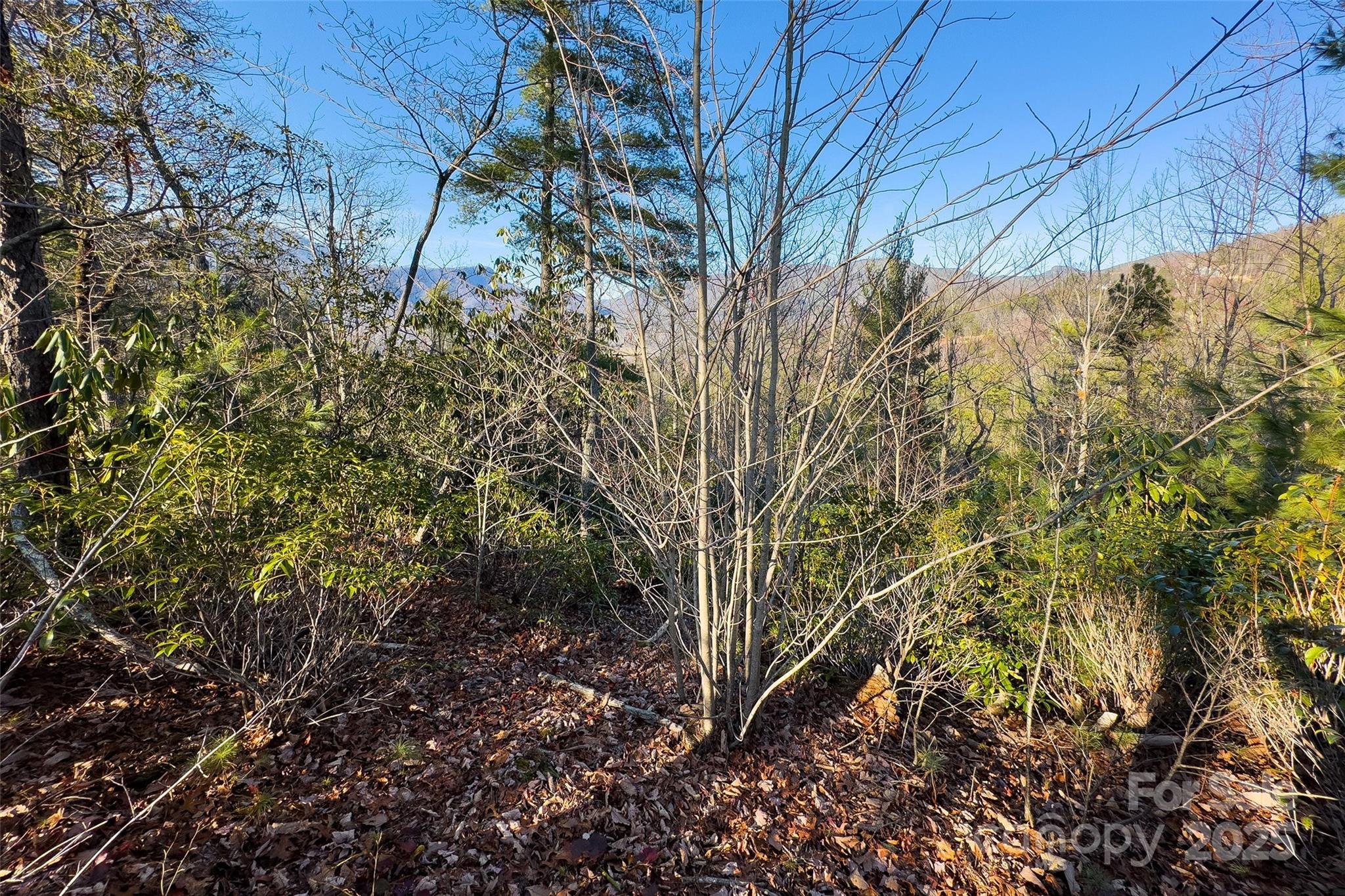 main property photo 20
