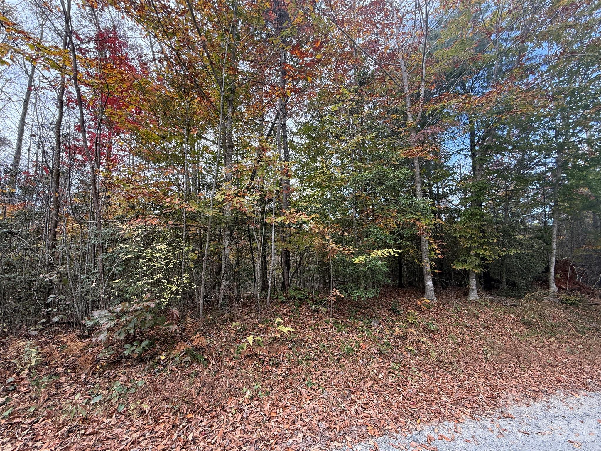 main property photo 17