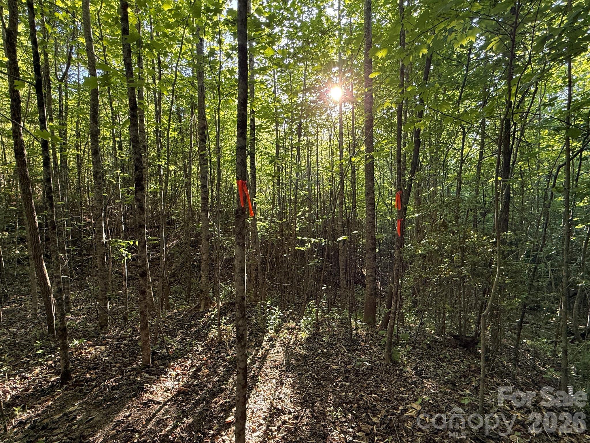 main property photo 25