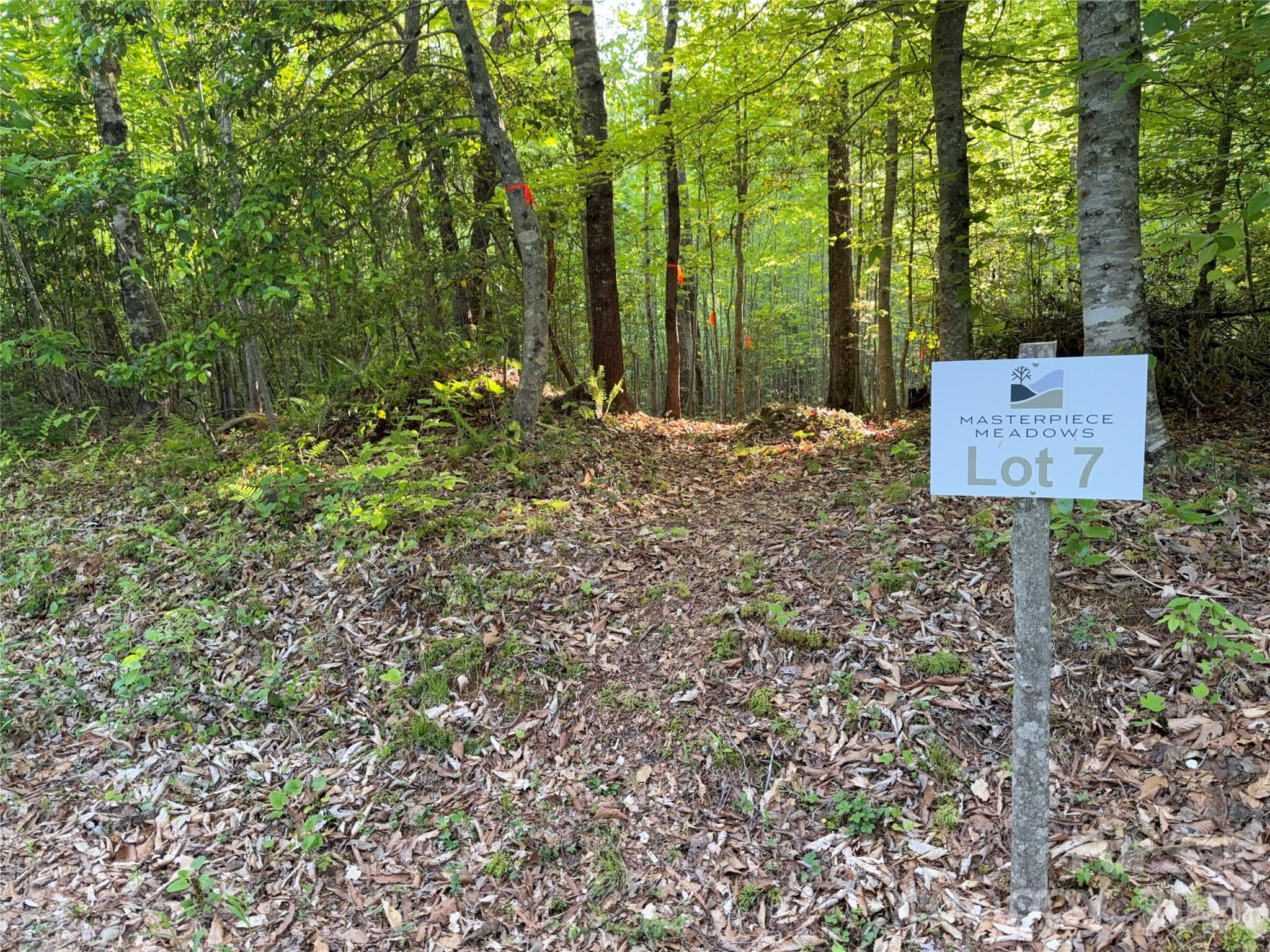 main property photo 29