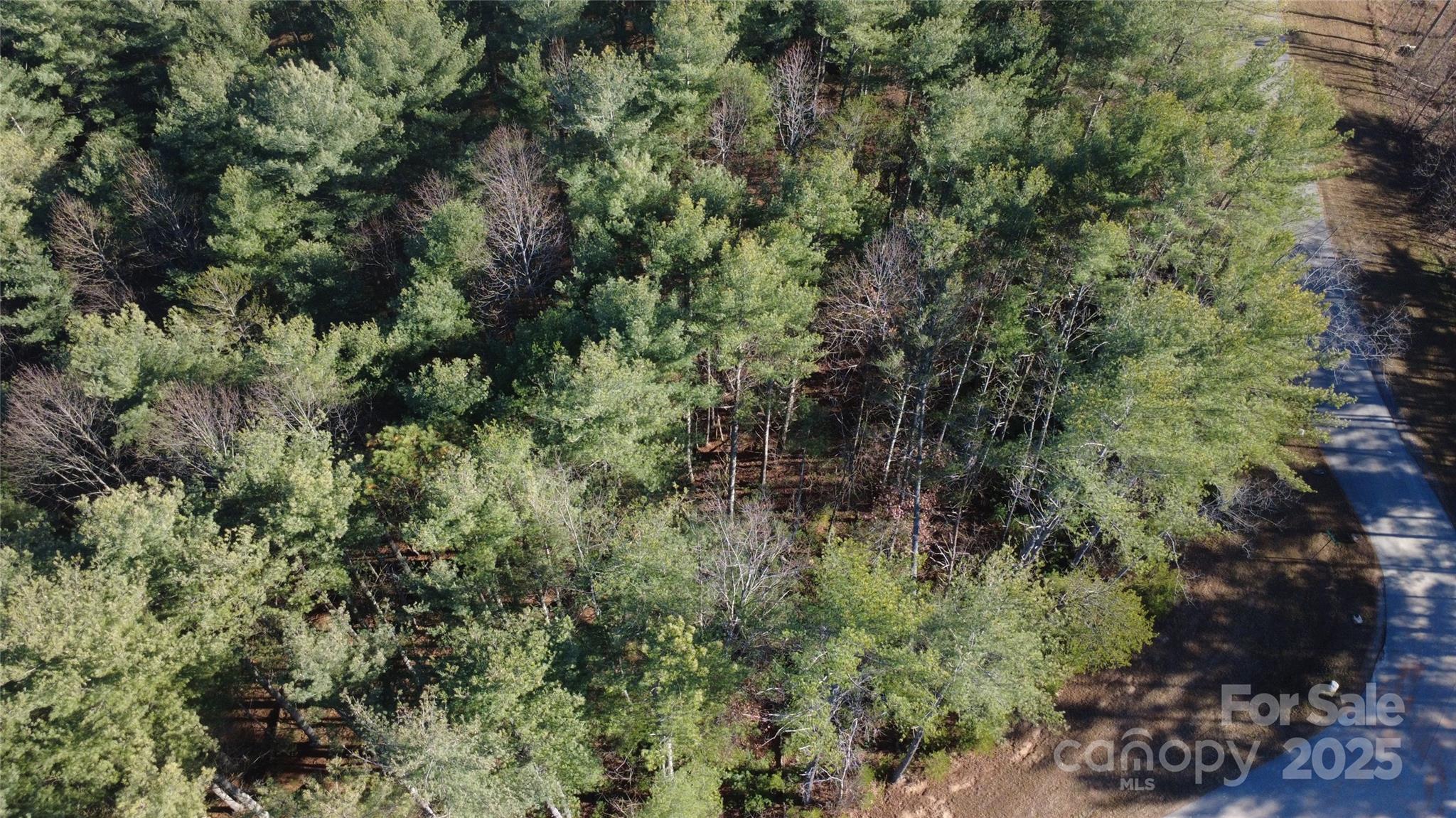 main property photo 13