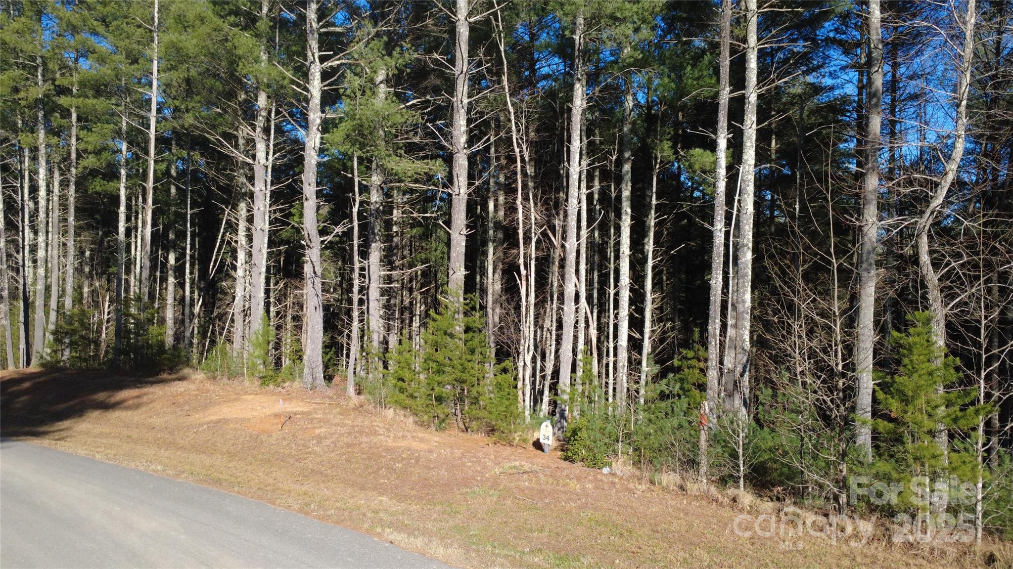 main property photo 18