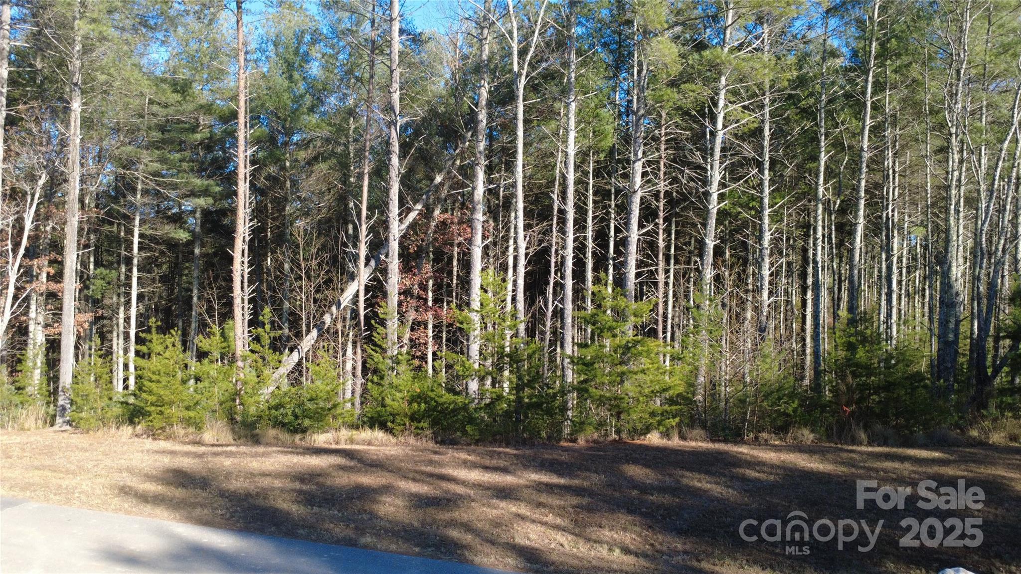 main property photo 19