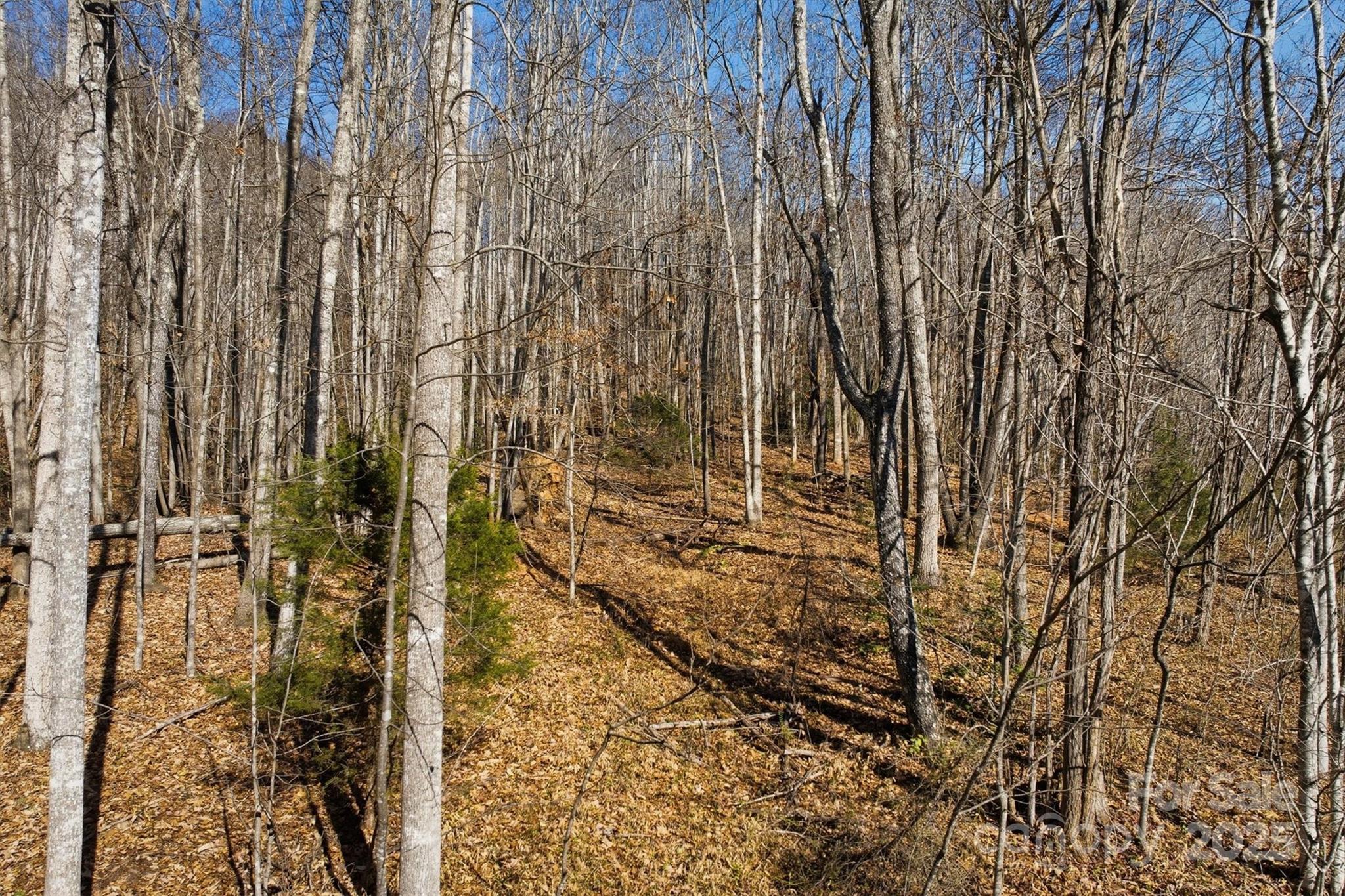 main property photo 11
