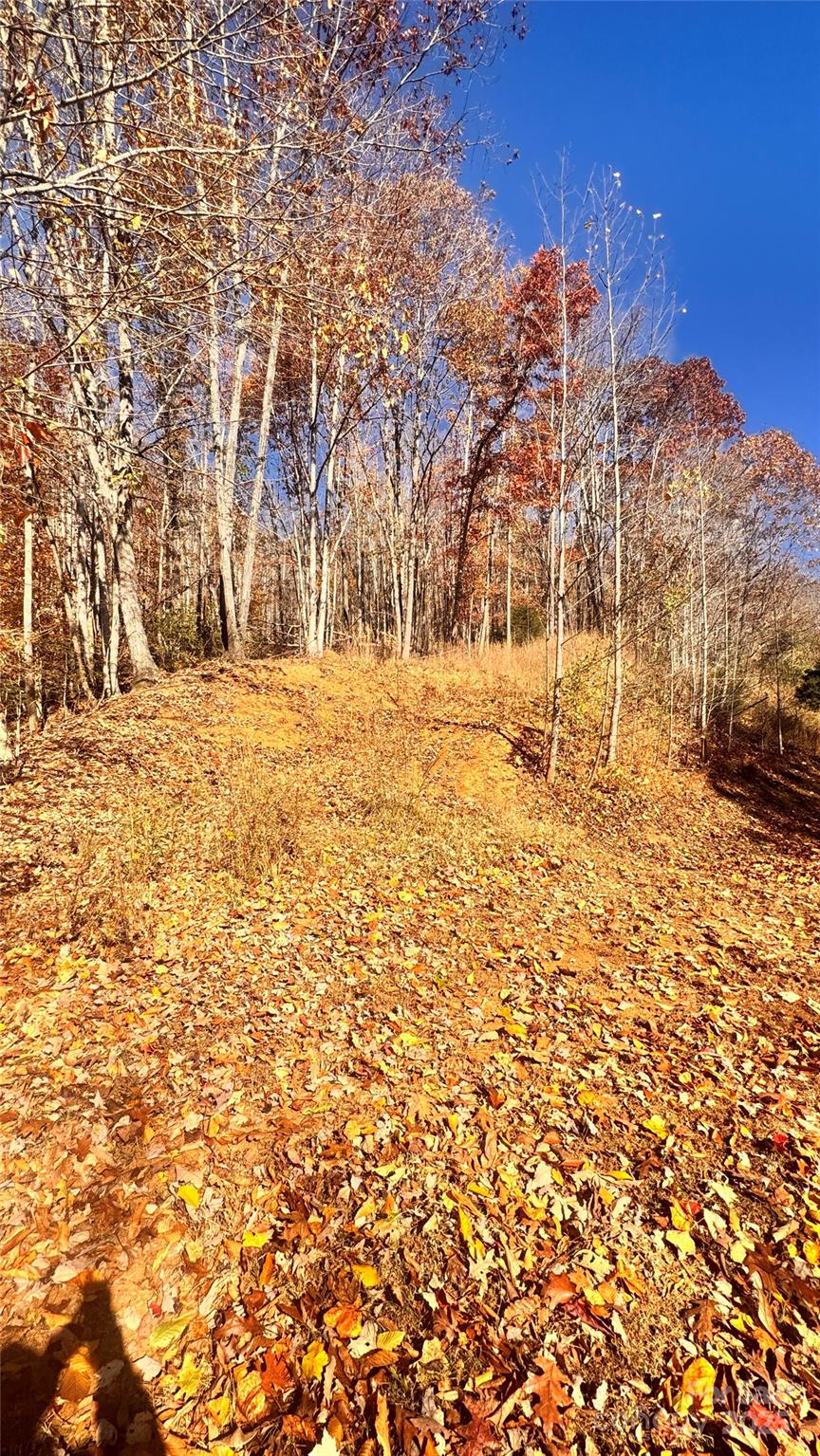 main property photo 13