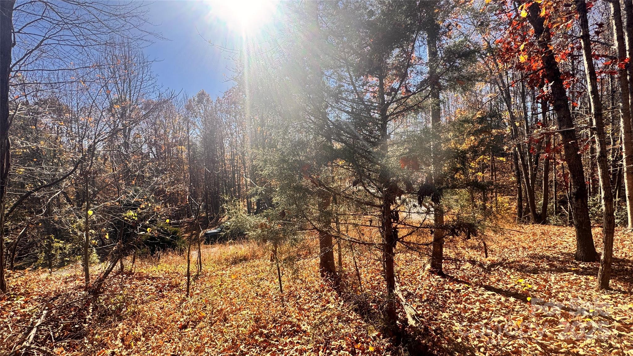 main property photo 17