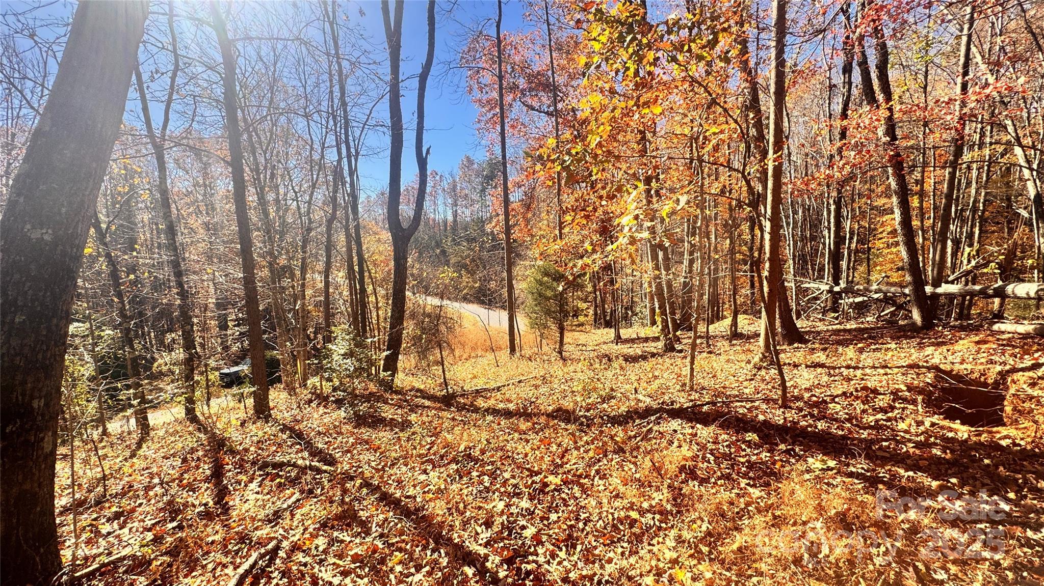 main property photo 23