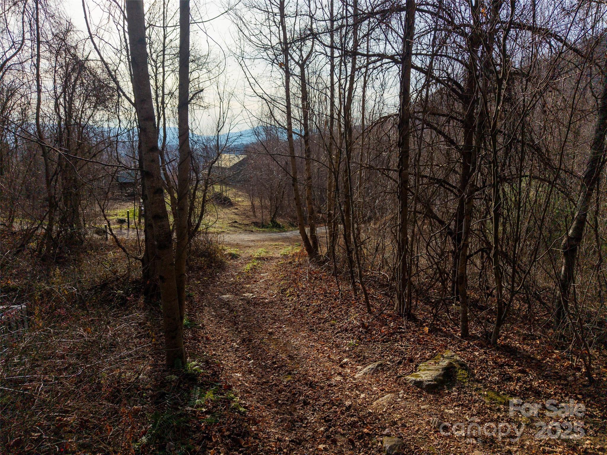main property photo 41