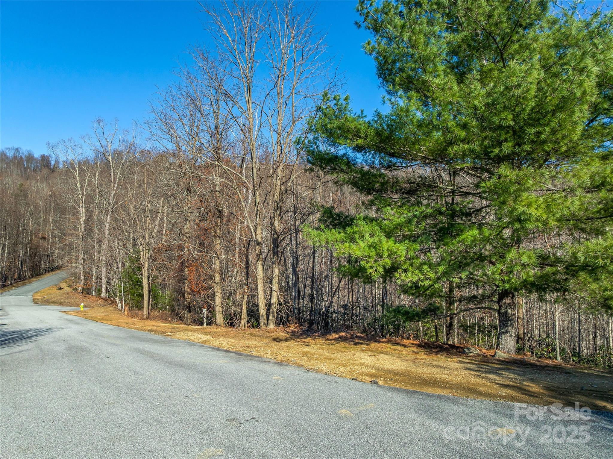 main property photo 7