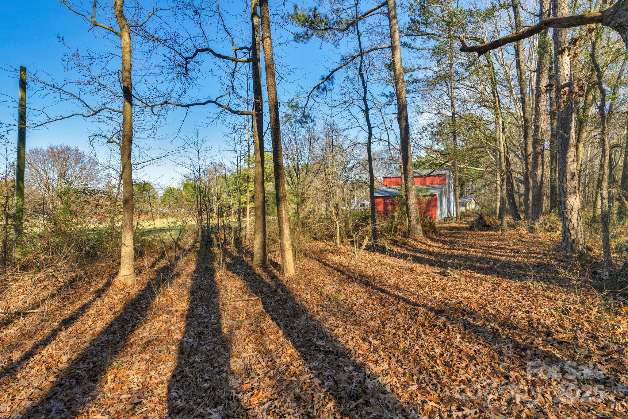 main property photo 28