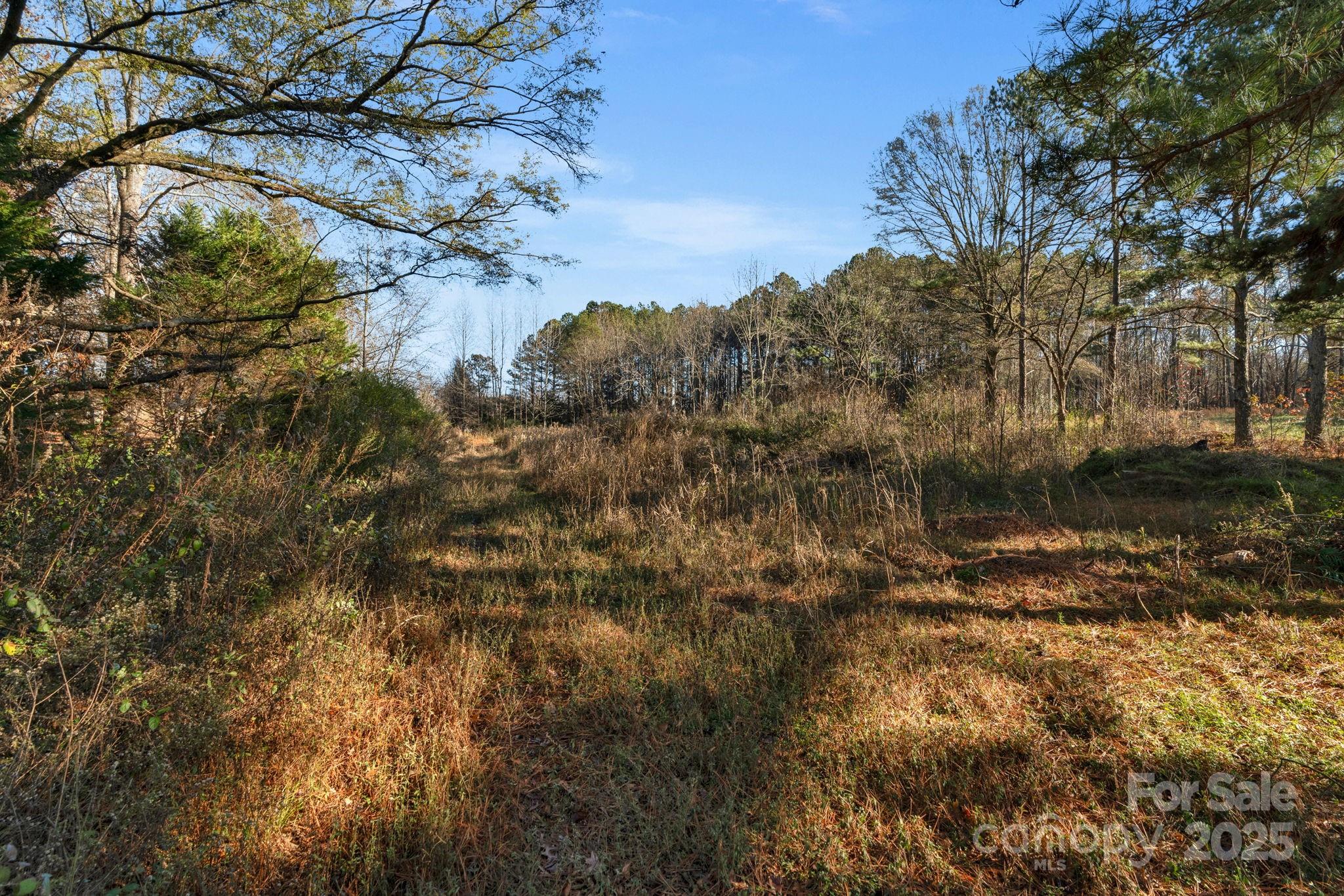 main property photo 34