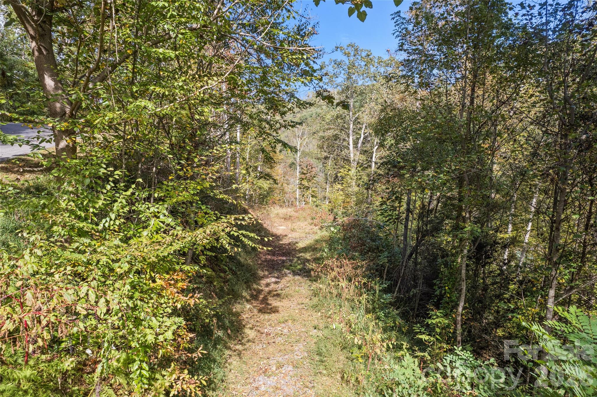 main property photo 13