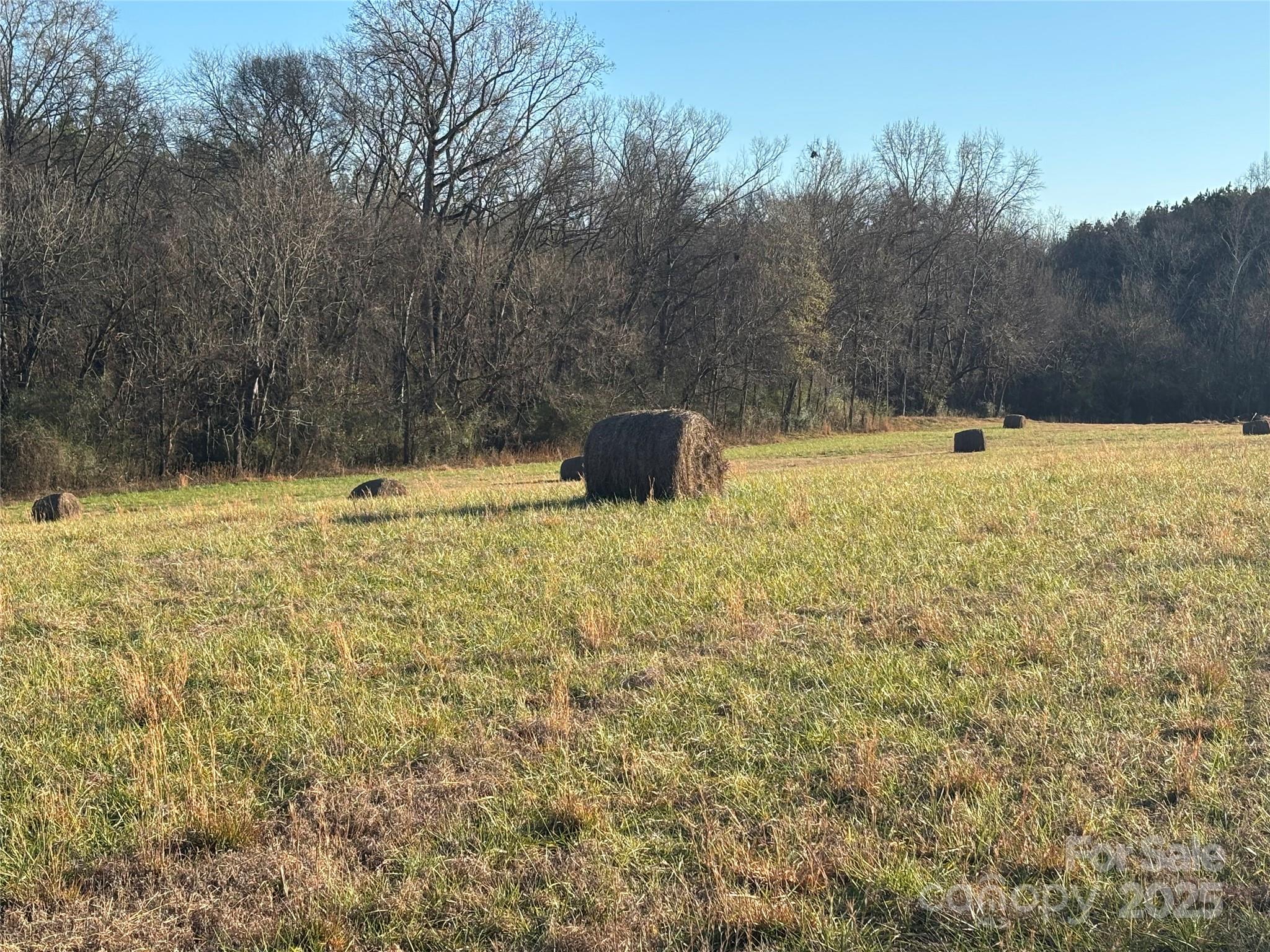 property viewer photo 1