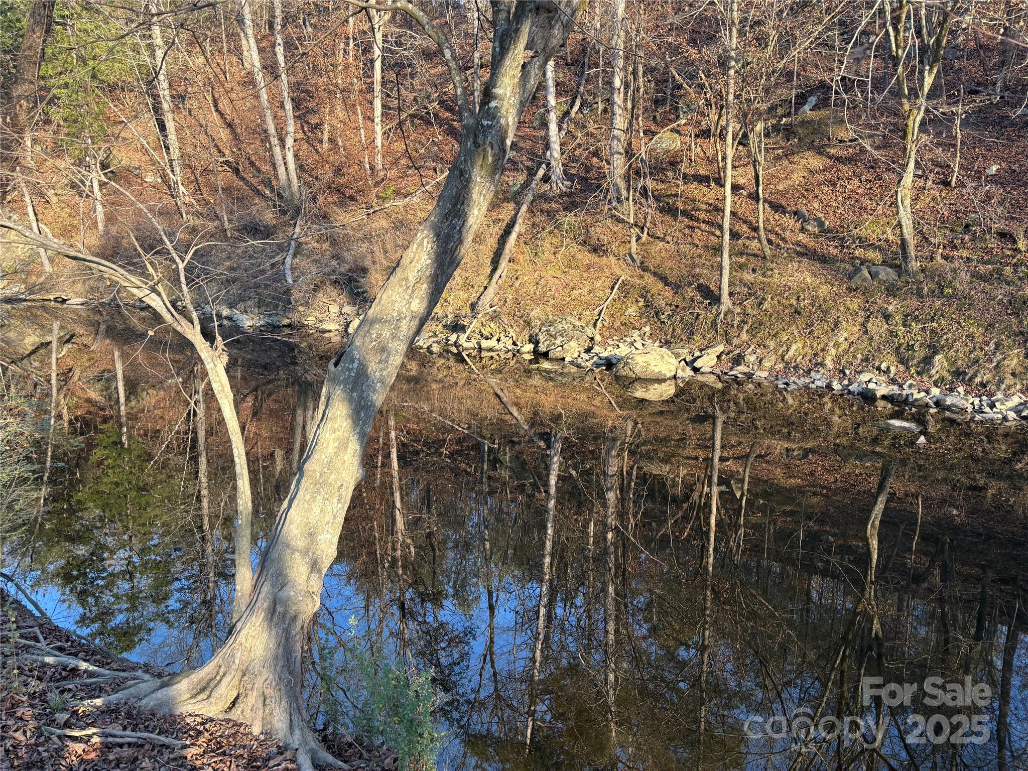 property viewer photo 14
