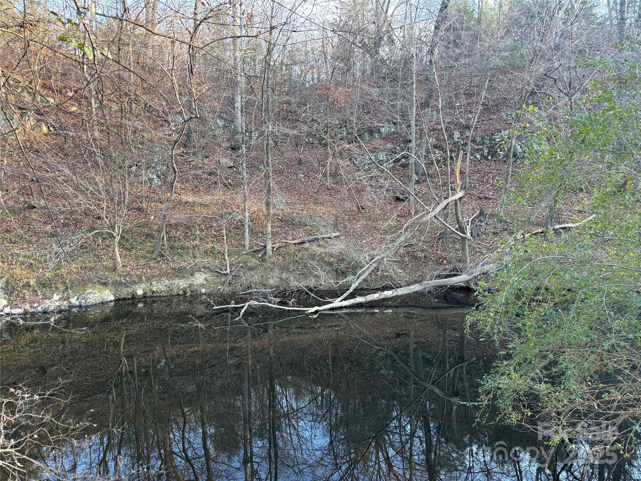 property viewer photo 15