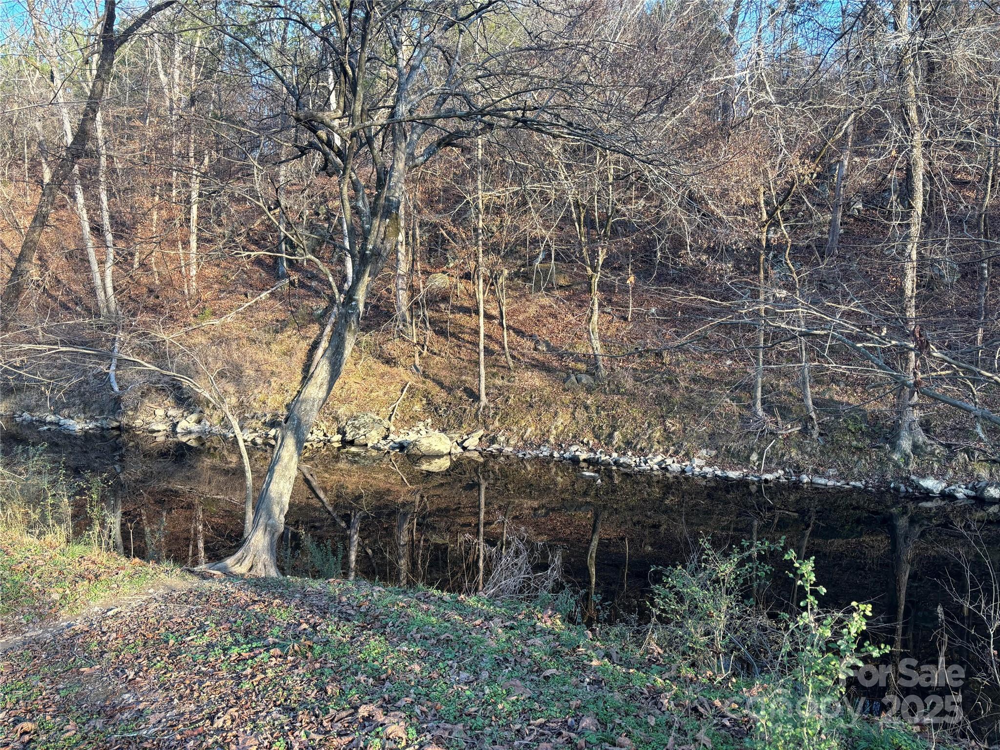 property viewer photo 16