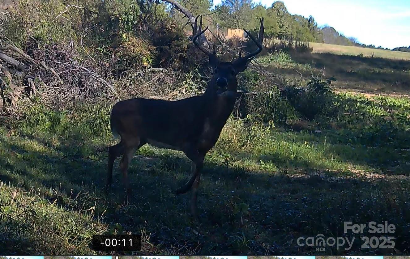 property viewer photo 21