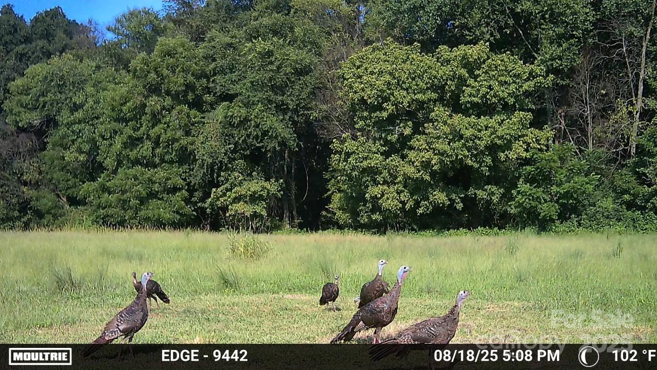 property viewer photo 22