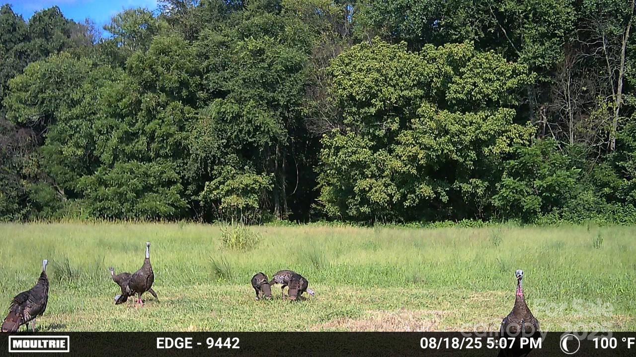 property viewer photo 23