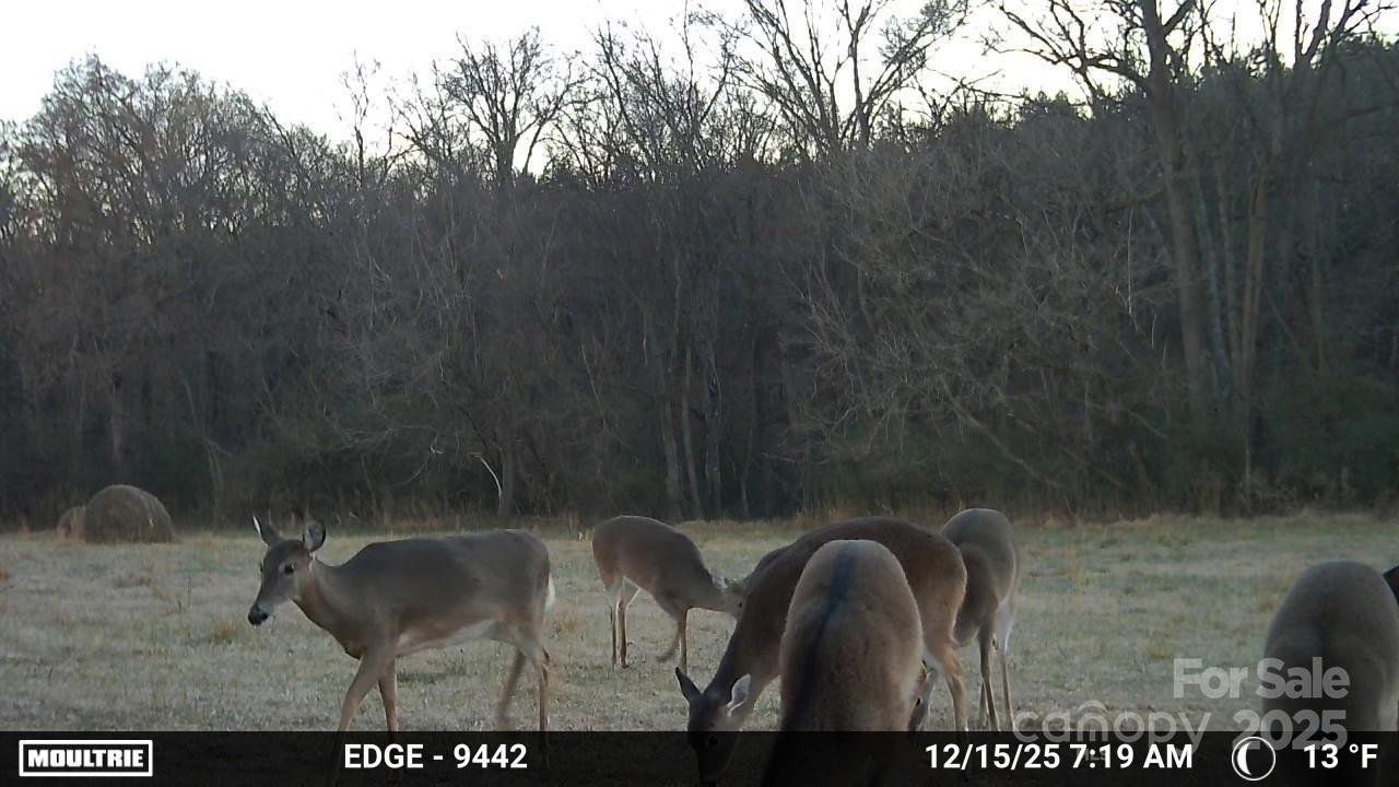 property viewer photo 24